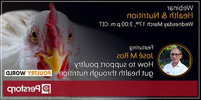 世界家禽健康与营养网络研讨会
