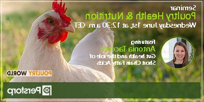 家禽健康与营养网络研讨会